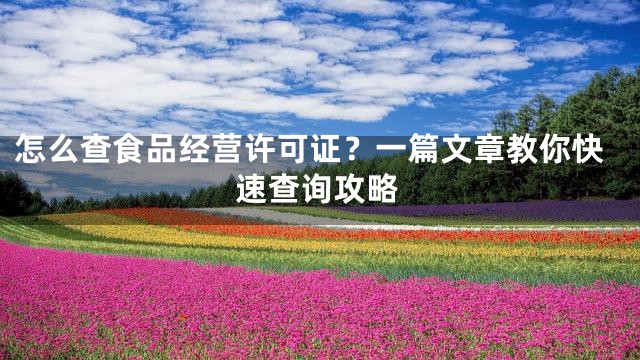 怎么查食品经营许可证？一篇文章教你快速查询攻略