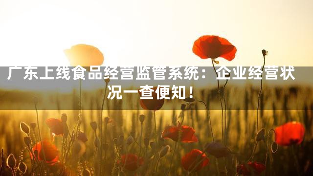 广东上线食品经营监管系统：企业经营状况一查便知！