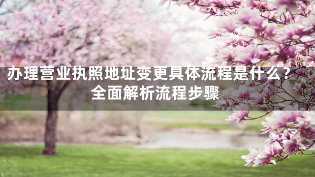 办理营业执照地址变更具体流程是什么？全面解析流程步骤