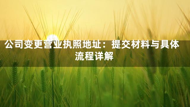 公司变更营业执照地址：提交材料与具体流程详解