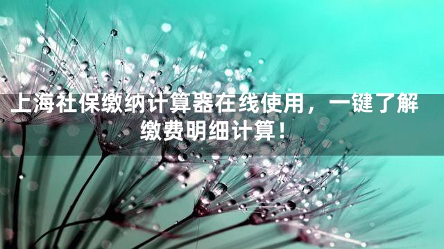 上海社保缴纳计算器在线使用，一键了解缴费明细计算！