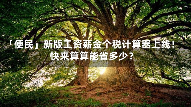 「便民」新版工资薪金个税计算器上线！快来算算能省多少？