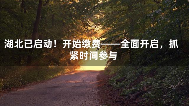 湖北已启动！开始缴费——全面开启，抓紧时间参与