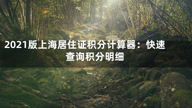 2021版上海居住证积分计算器：快速查询积分明细