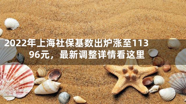 2022年上海社保基数出炉涨至11396元，最新调整详情看这里