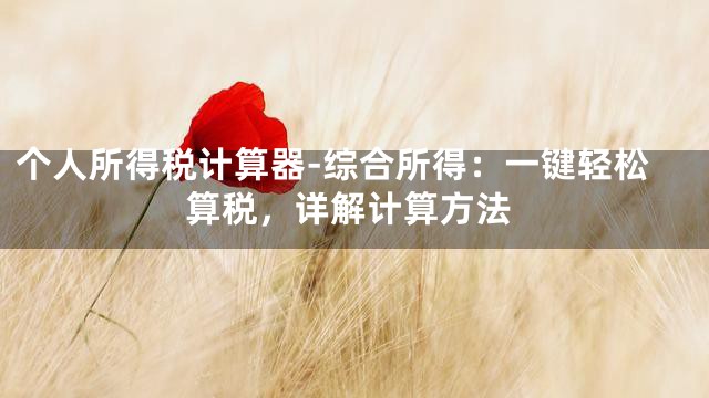 个人所得税计算器-综合所得：一键轻松算税，详解计算方法