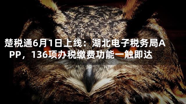楚税通6月1日上线：湖北电子税务局APP，136项办税缴费功能一触即达