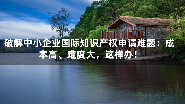 破解中小企业国际知识产权申请难题：成本高、难度大，这样办！