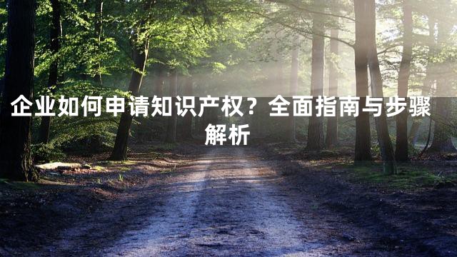 企业如何申请知识产权？全面指南与步骤解析