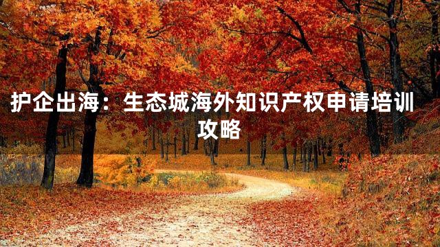 护企出海：生态城海外知识产权申请培训攻略