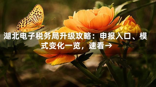 湖北电子税务局升级攻略：申报入口、模式变化一览，速看→