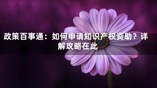 政策百事通：如何申请知识产权资助？详解攻略在此