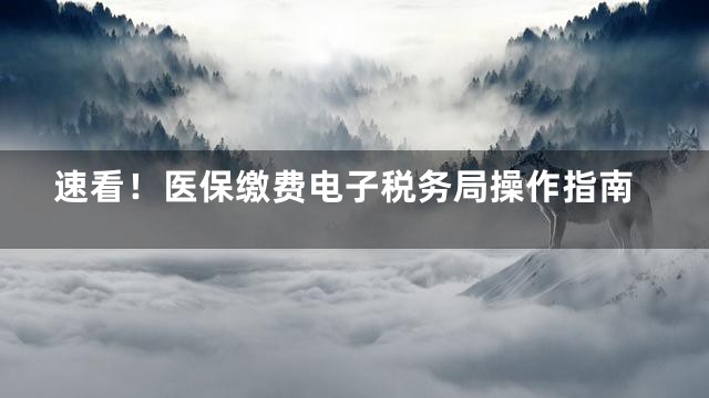 速看！医保缴费电子税务局操作指南