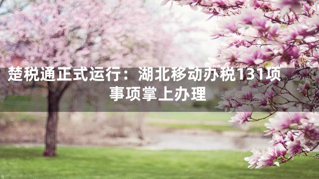 楚税通正式运行：湖北移动办税131项事项掌上办理