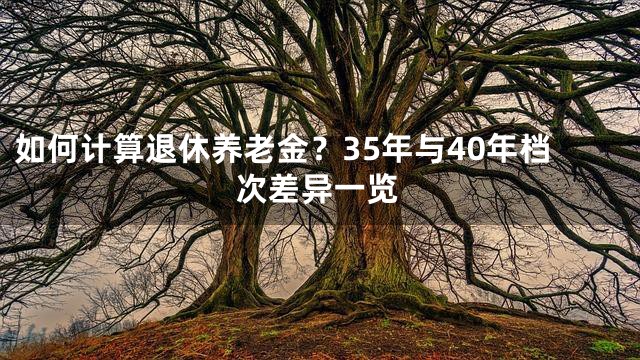 如何计算退休养老金？35年与40年档次差异一览