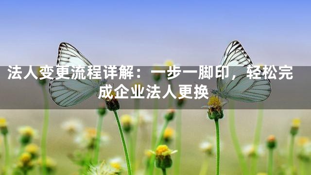 法人变更流程详解：一步一脚印，轻松完成企业法人更换