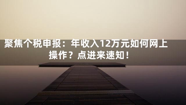 聚焦个税申报：年收入12万元如何网上操作？点进来速知！