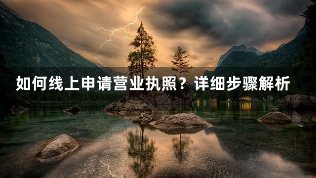 如何线上申请营业执照？详细步骤解析