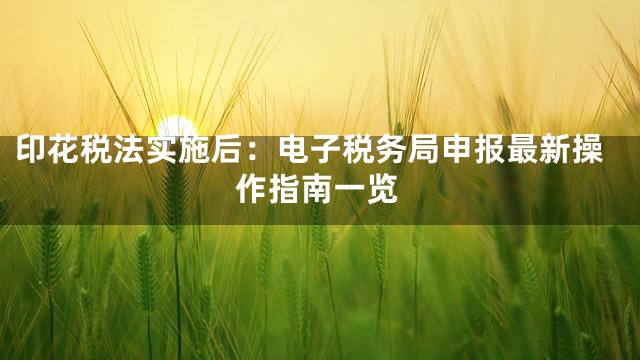 印花税法实施后：电子税务局申报最新操作指南一览
