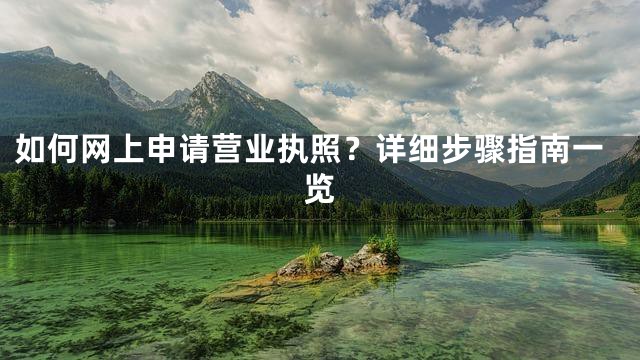 如何网上申请营业执照？详细步骤指南一览