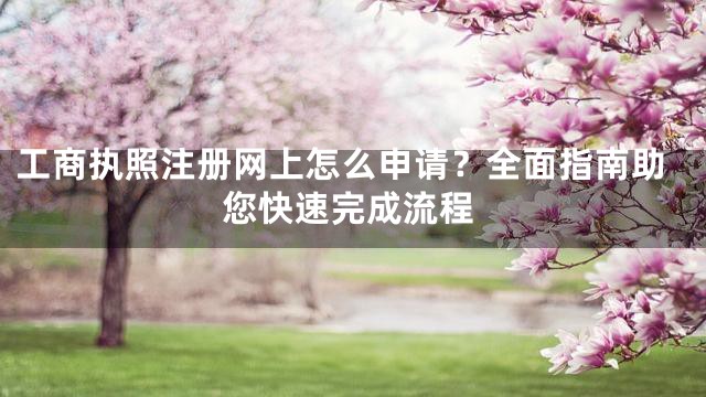 工商执照注册网上怎么申请？全面指南助您快速完成流程