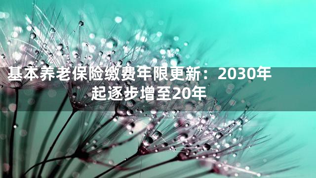 基本养老保险缴费年限更新：2030年起逐步增至20年
