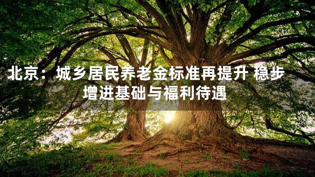 北京：城乡居民养老金标准再提升 稳步增进基础与福利待遇