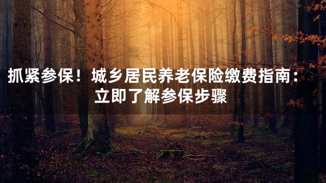 抓紧参保！城乡居民养老保险缴费指南：立即了解参保步骤