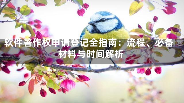 软件著作权申请登记全指南：流程、必备材料与时间解析