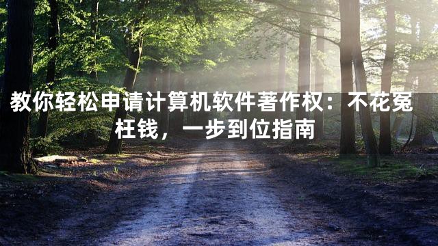 教你轻松申请计算机软件著作权：不花冤枉钱，一步到位指南