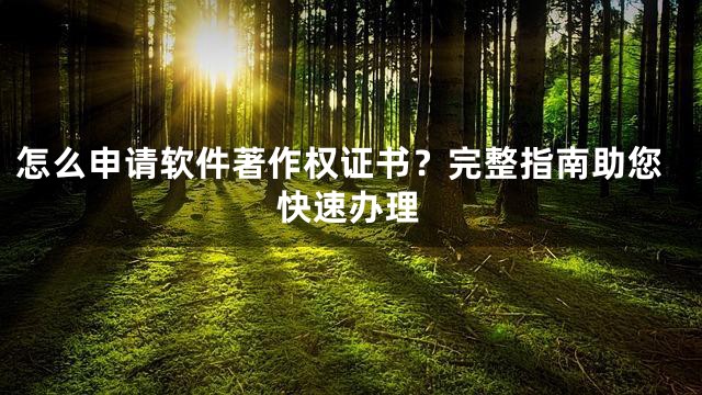 怎么申请软件著作权证书？完整指南助您快速办理