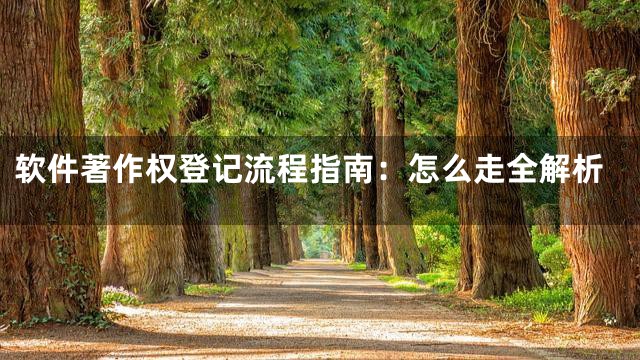 软件著作权登记流程指南：怎么走全解析