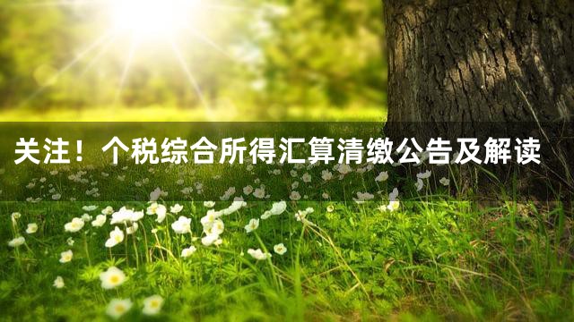 关注！个税综合所得汇算清缴公告及解读