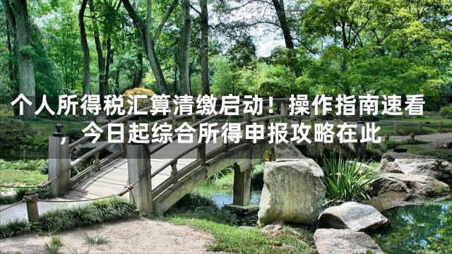 个人所得税汇算清缴启动！操作指南速看，今日起综合所得申报攻略在此