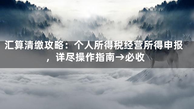 汇算清缴攻略：个人所得税经营所得申报，详尽操作指南→必收