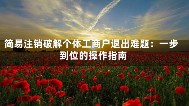 简易注销破解个体工商户退出难题：一步到位的操作指南