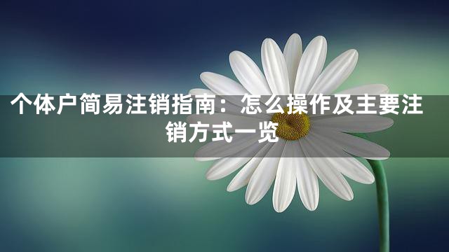 个体户简易注销指南：怎么操作及主要注销方式一览