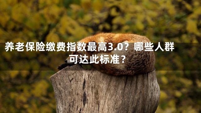 养老保险缴费指数最高3.0？哪些人群可达此标准？