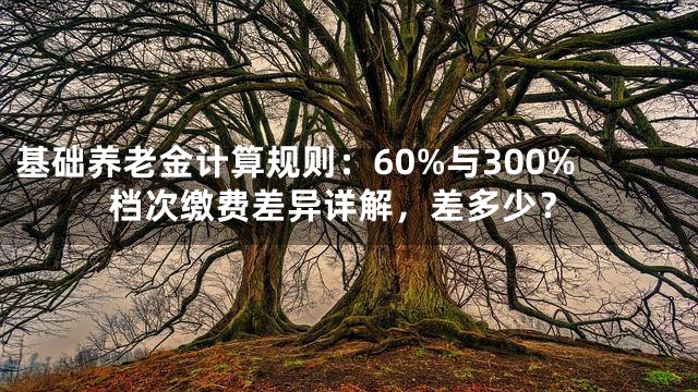 基础养老金计算规则：60%与300%档次缴费差异详解，差多少？