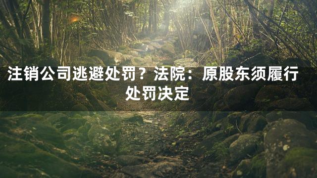 注销公司逃避处罚？法院：原股东须履行处罚决定
