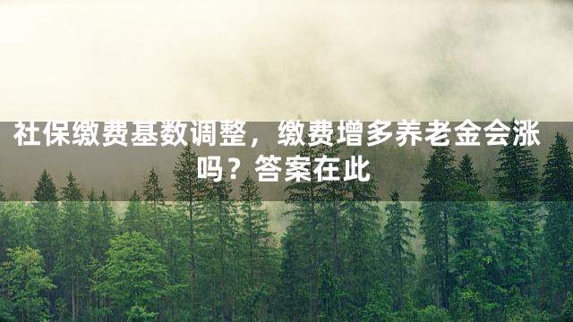 社保缴费基数调整，缴费增多养老金会涨吗？答案在此