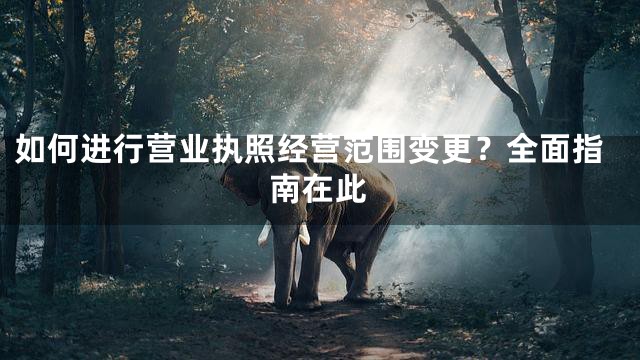 如何进行营业执照经营范围变更？全面指南在此