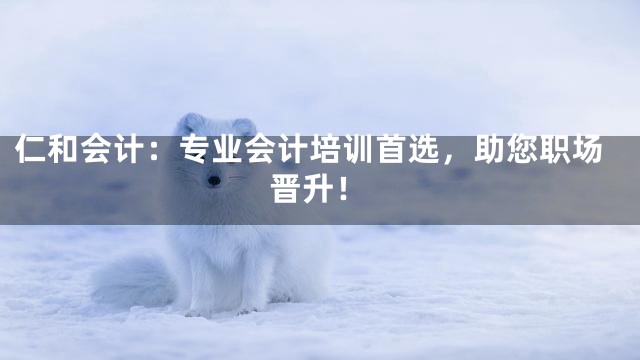仁和会计：专业会计培训首选，助您职场晋升！