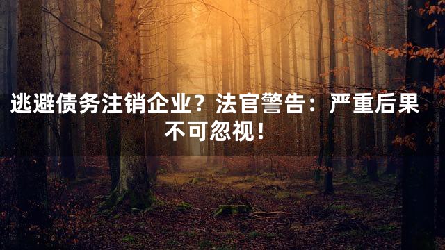 逃避债务注销企业？法官警告：严重后果不可忽视！