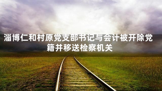 淄博仁和村原党支部书记与会计被开除党籍并移送检察机关