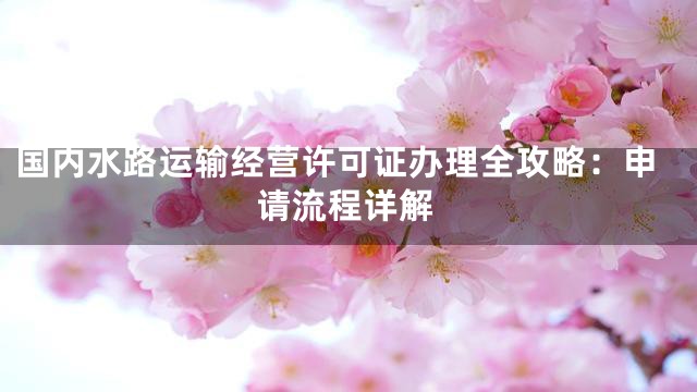 国内水路运输经营许可证办理全攻略：申请流程详解