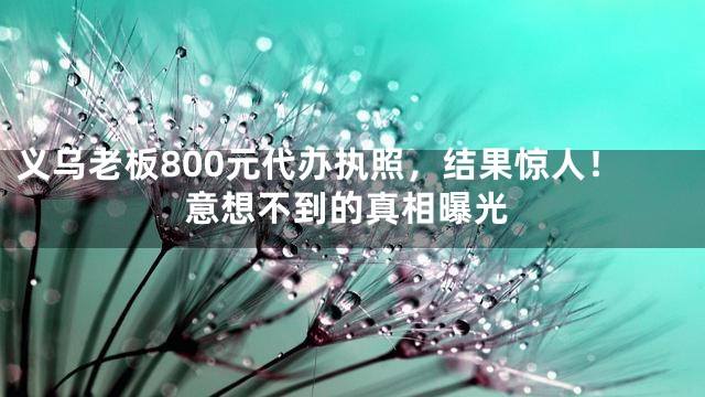 义乌老板800元代办执照，结果惊人！意想不到的真相曝光