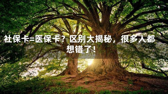 社保卡=医保卡？区别大揭秘，很多人都想错了！