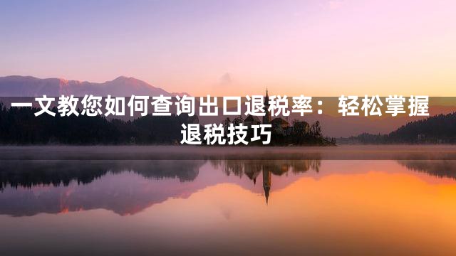 一文教您如何查询出口退税率：轻松掌握退税技巧