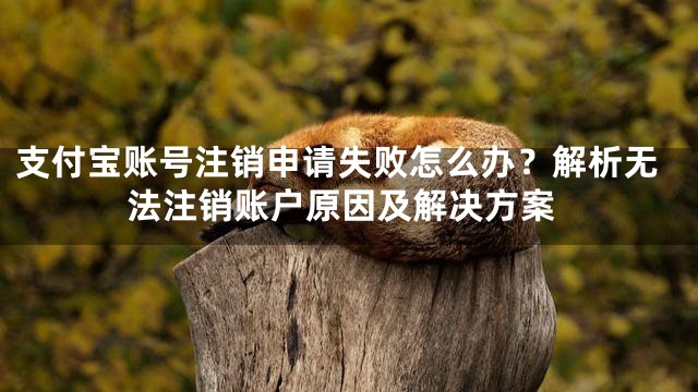 支付宝账号注销申请失败怎么办？解析无法注销账户原因及解决方案